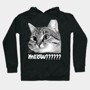 Funny confused cat Hoodie